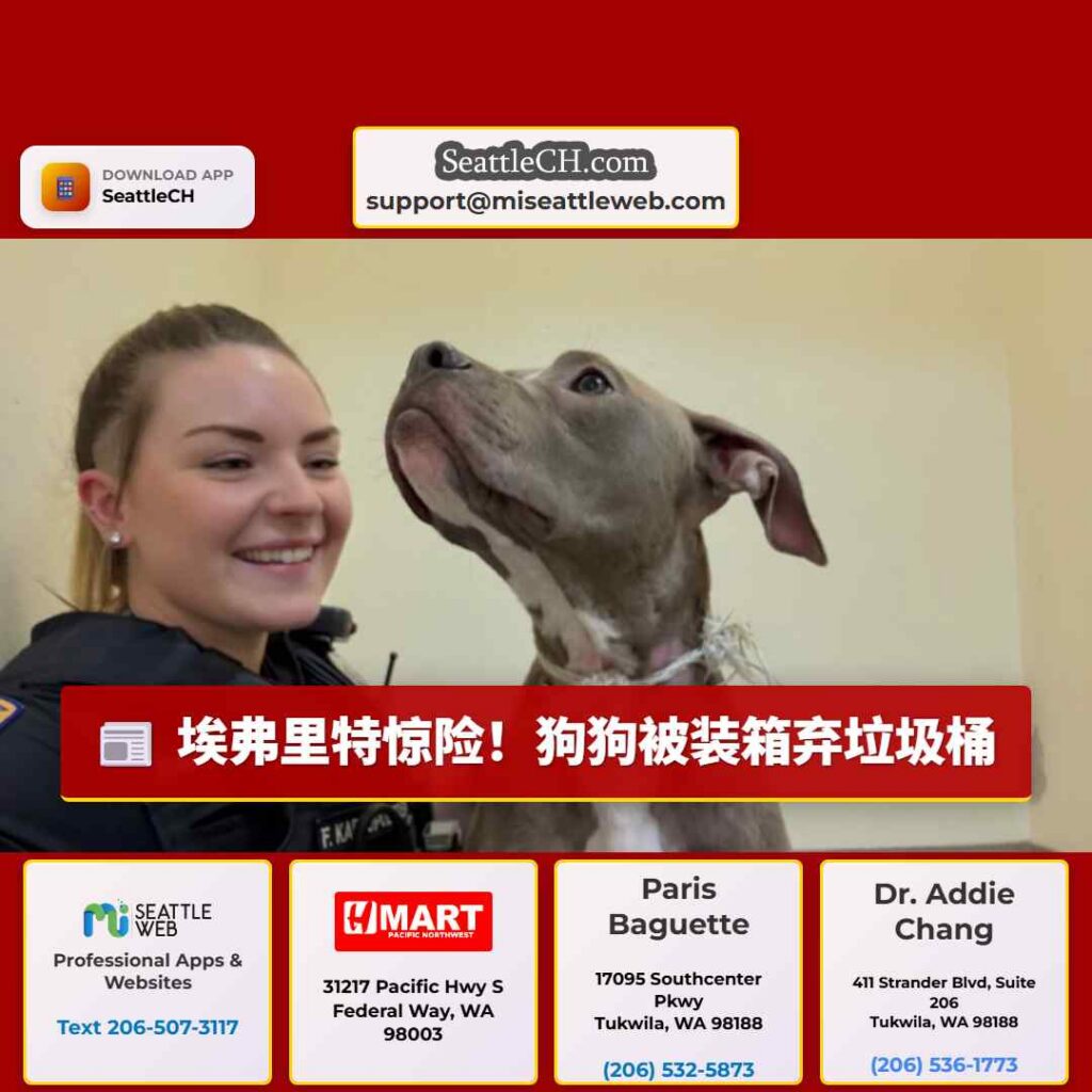 埃弗里特惊险!狗狗被装箱弃垃圾桶