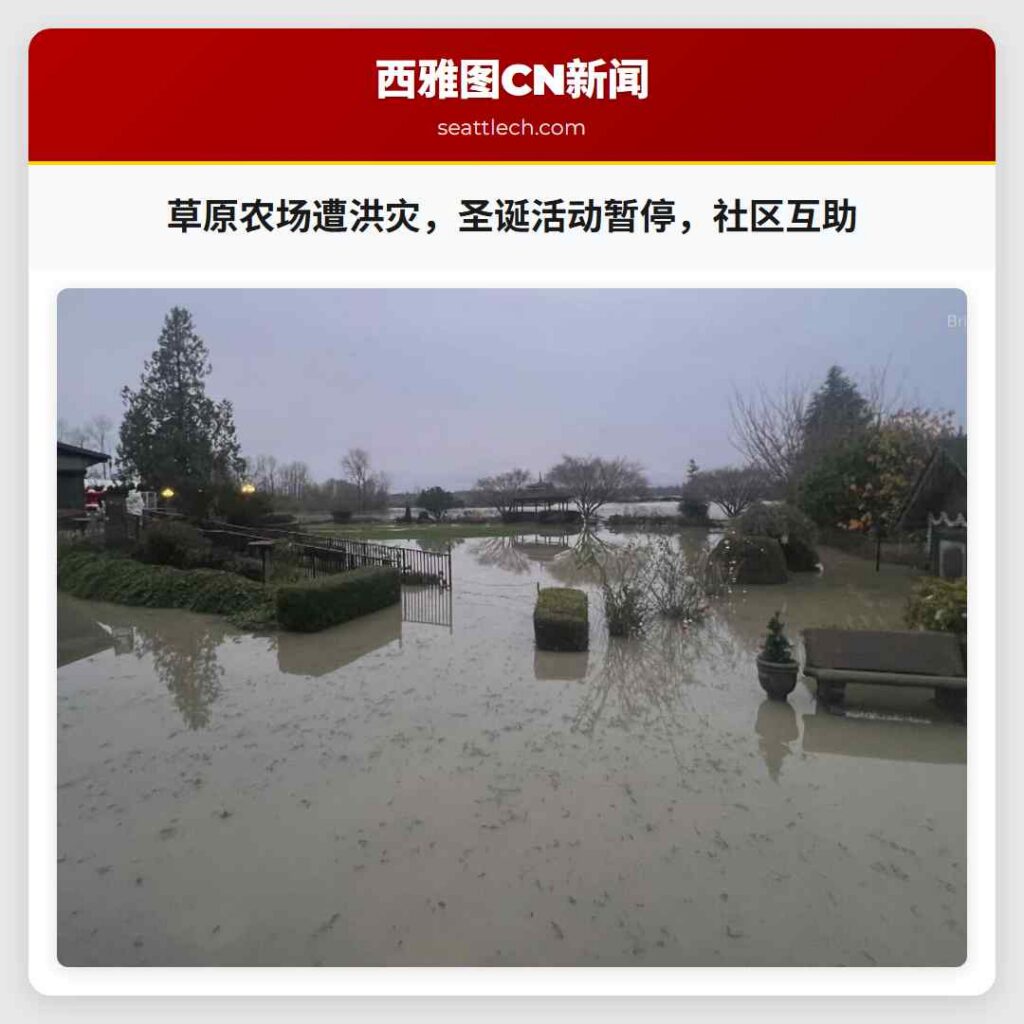 草原农场遭洪灾，圣诞活动暂停，社区互助