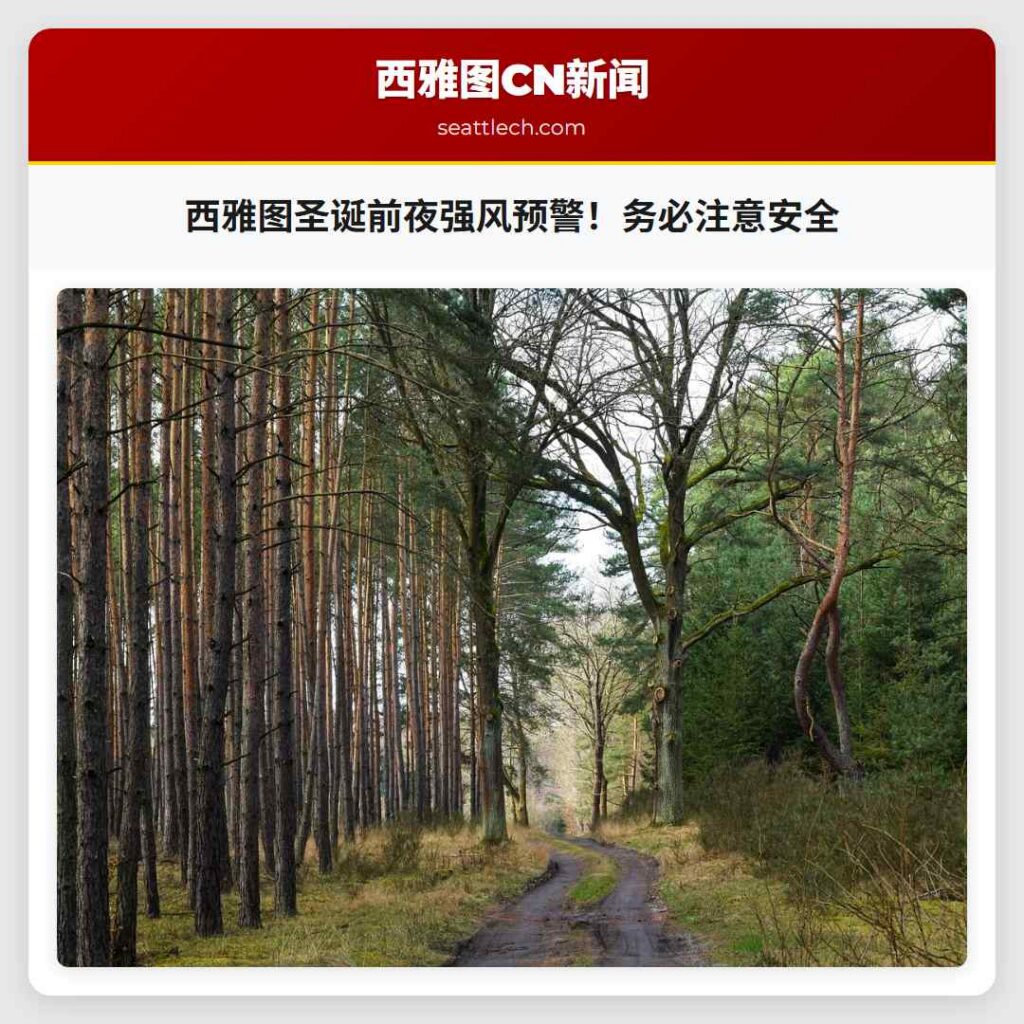 西雅图圣诞前夜强风预警！务必注意安全