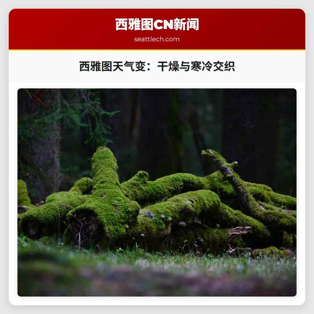 西雅图天气变：干燥与寒冷交织