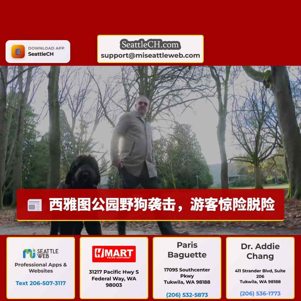 西雅图公园野狗袭击，游客惊险脱险