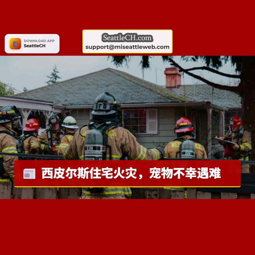 西皮尔斯住宅火灾，宠物不幸遇难