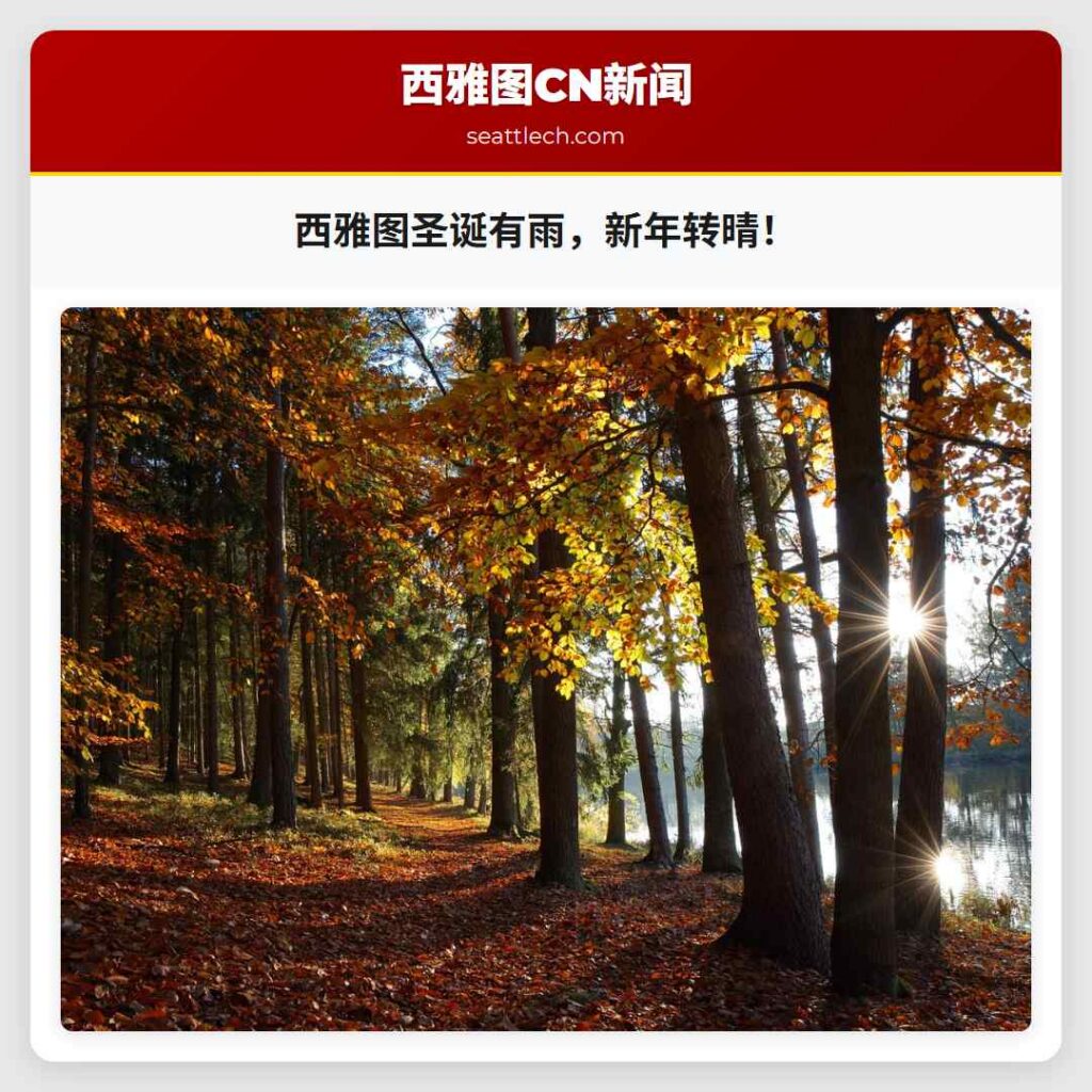 西雅图圣诞有雨，新年转晴！