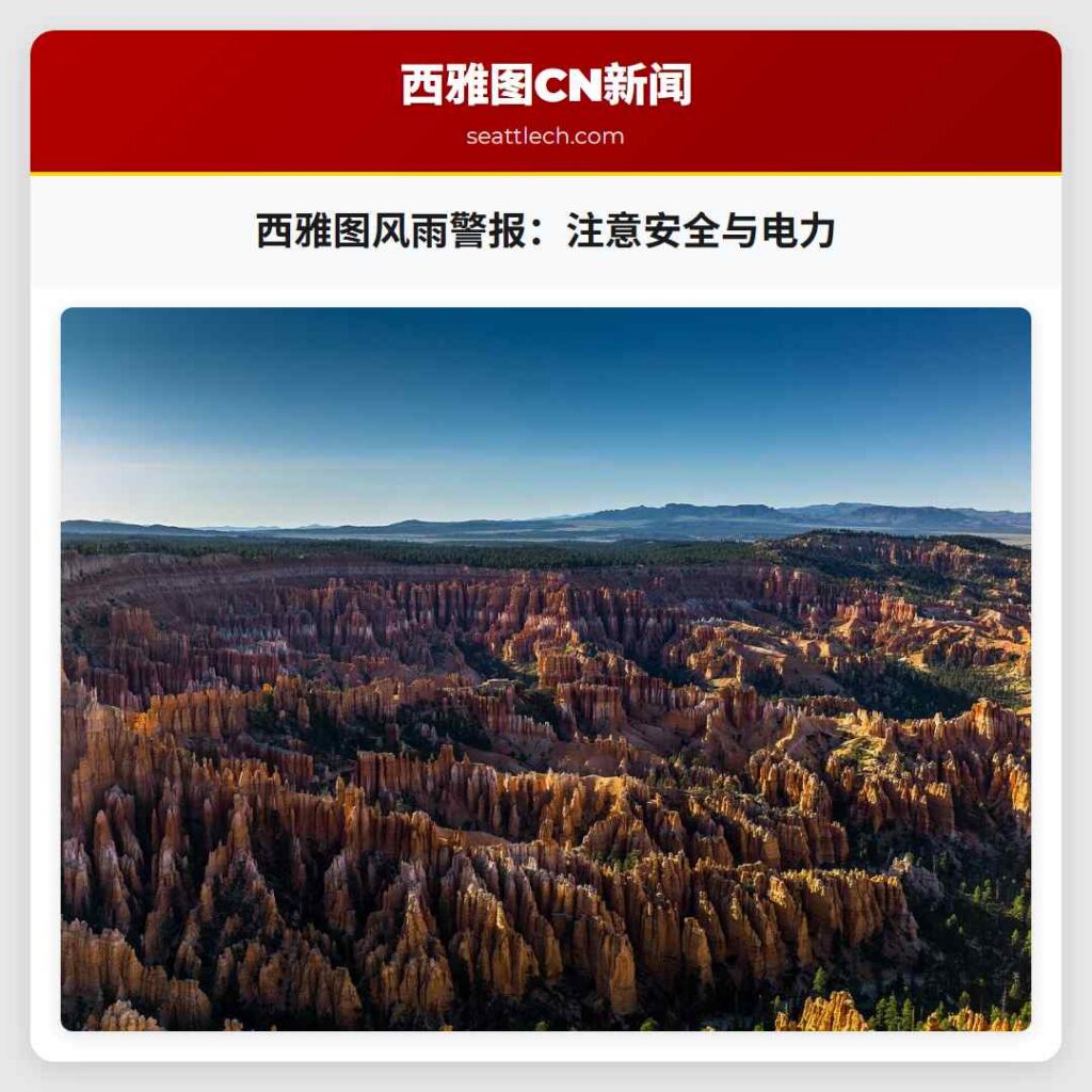 西雅图风雨警报：注意安全与电力