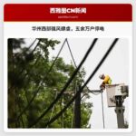 西雅图及华州西部强风肆虐，五余万户家庭停电