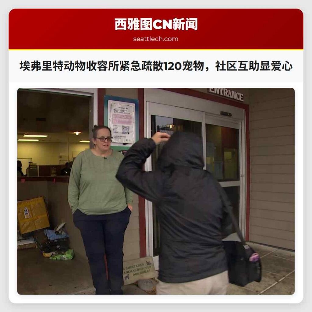 埃弗里特动物收容所紧急疏散120宠物,社区互助显爱心