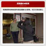 华盛顿州埃弗里特动物收容所紧急疏散120只宠物，社区互助显爱心