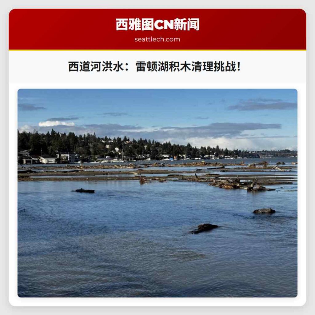 西道河洪水：雷顿湖积木清理挑战！