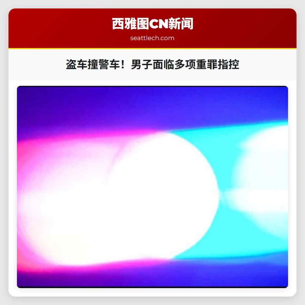 盗车撞警车！男子面临多项重罪指控