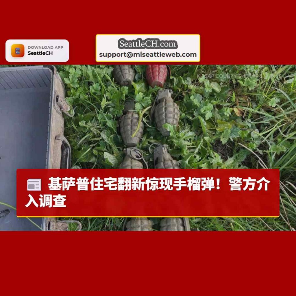 基萨普住宅翻新惊现手榴弹！警方介入调查