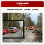 华盛顿州卡内申地区树木倒塌事故造成一人死亡，另有一人重伤