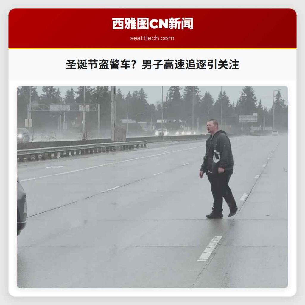 圣诞节盗警车？男子高速追逐引关注