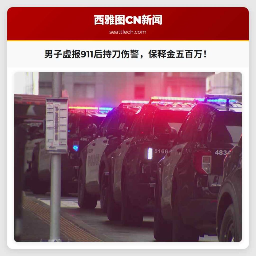 男子虚报911后持刀伤警,保释金五百万!