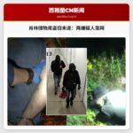 西雅图北部肖林储物库入室盗窃未遂：两名嫌疑人被捕