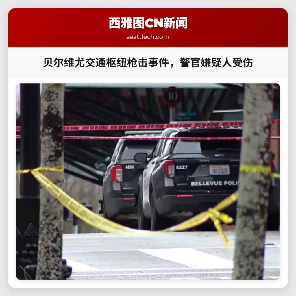 贝尔维尤交通枢纽枪击事件,警官嫌疑人受伤