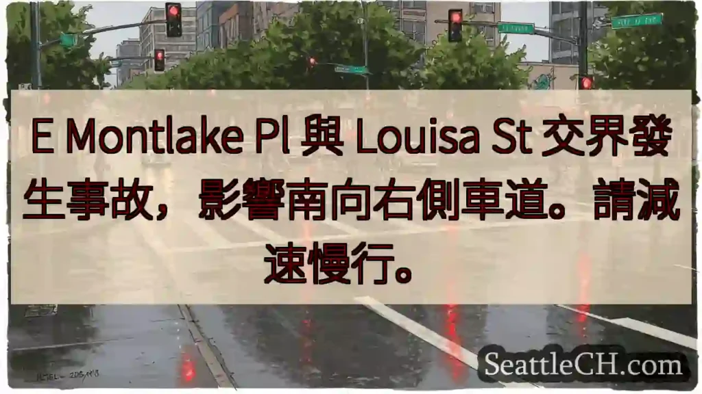 事故!E Montlake Pl & Louisa St
