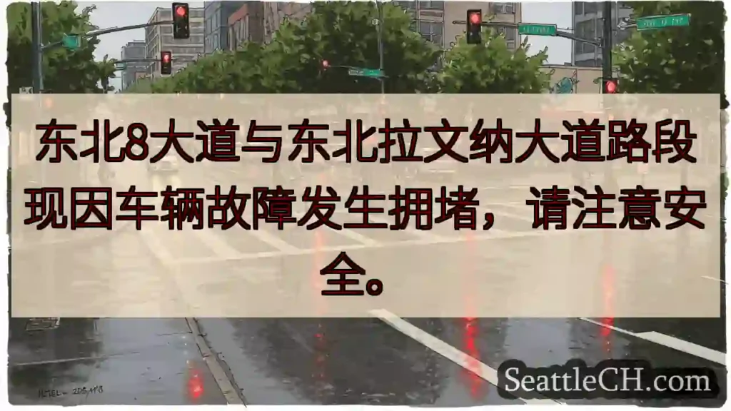 8大道/拉文纳路段：车辆故障，请减速！