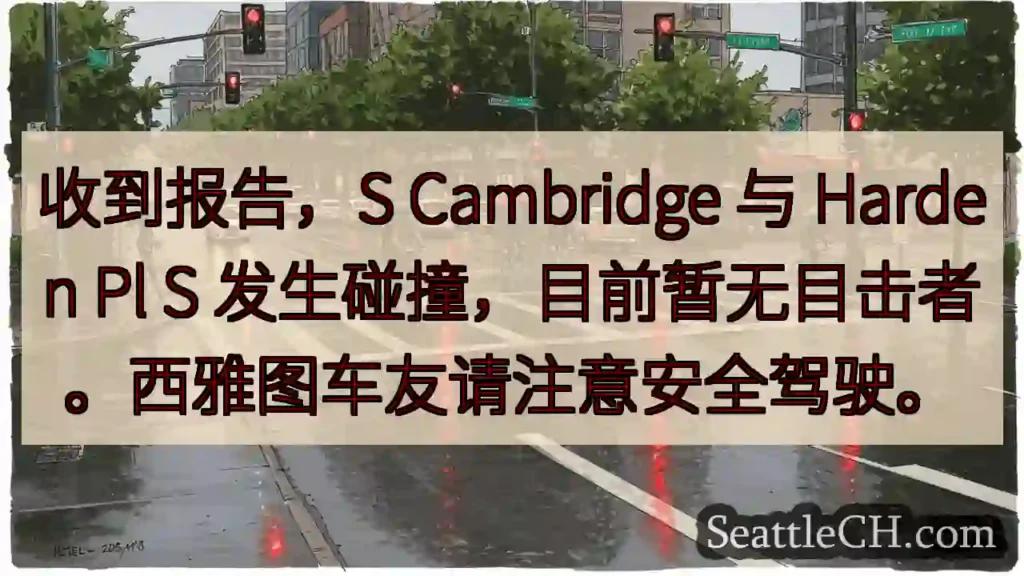 S Cambridge & Harden Pl 碰撞!注意安全!