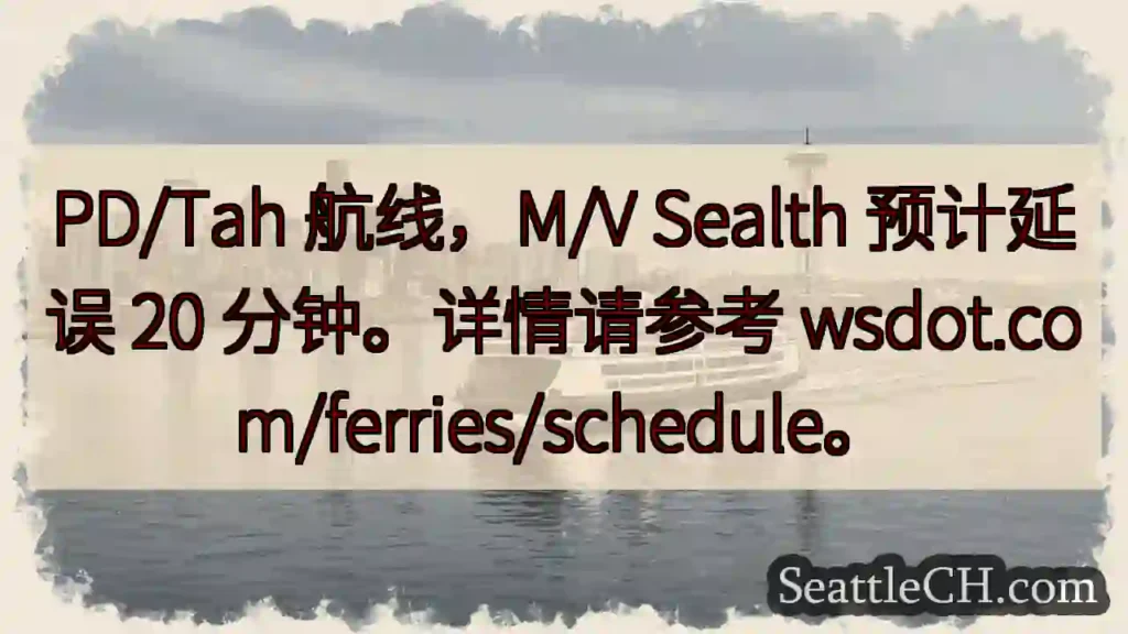 航线延误：M/V Sealth 预计 20 分钟