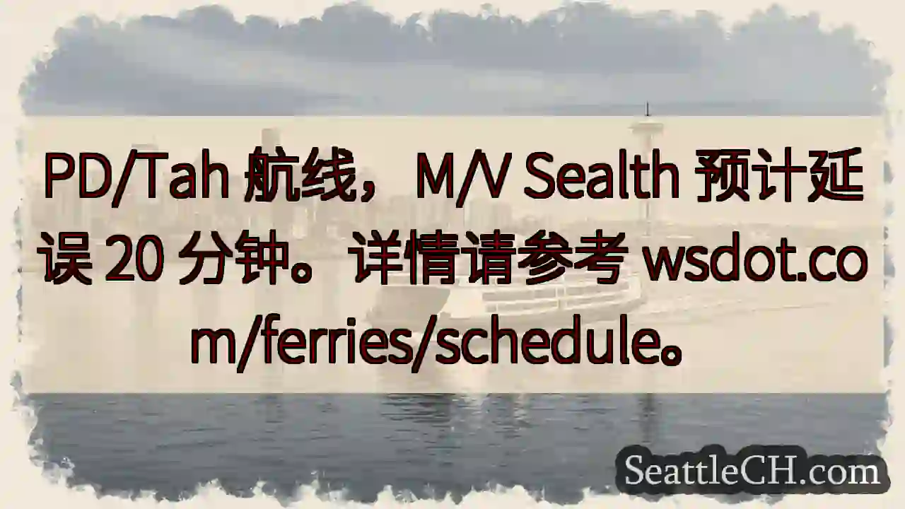 航线延误：M/V Sealth 预计 20 分钟