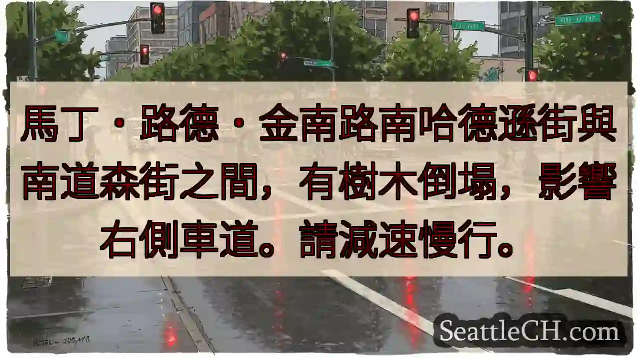 树木倒塌！右侧车道受影响，减速慢行。