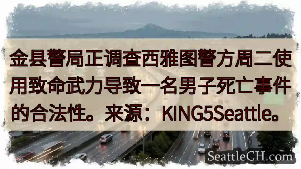 西雅图警力调查:致命武力事件
