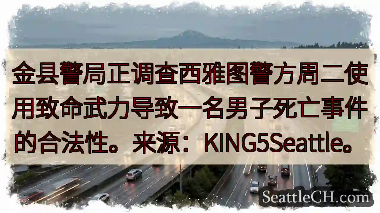 西雅图警力调查：致命武力事件