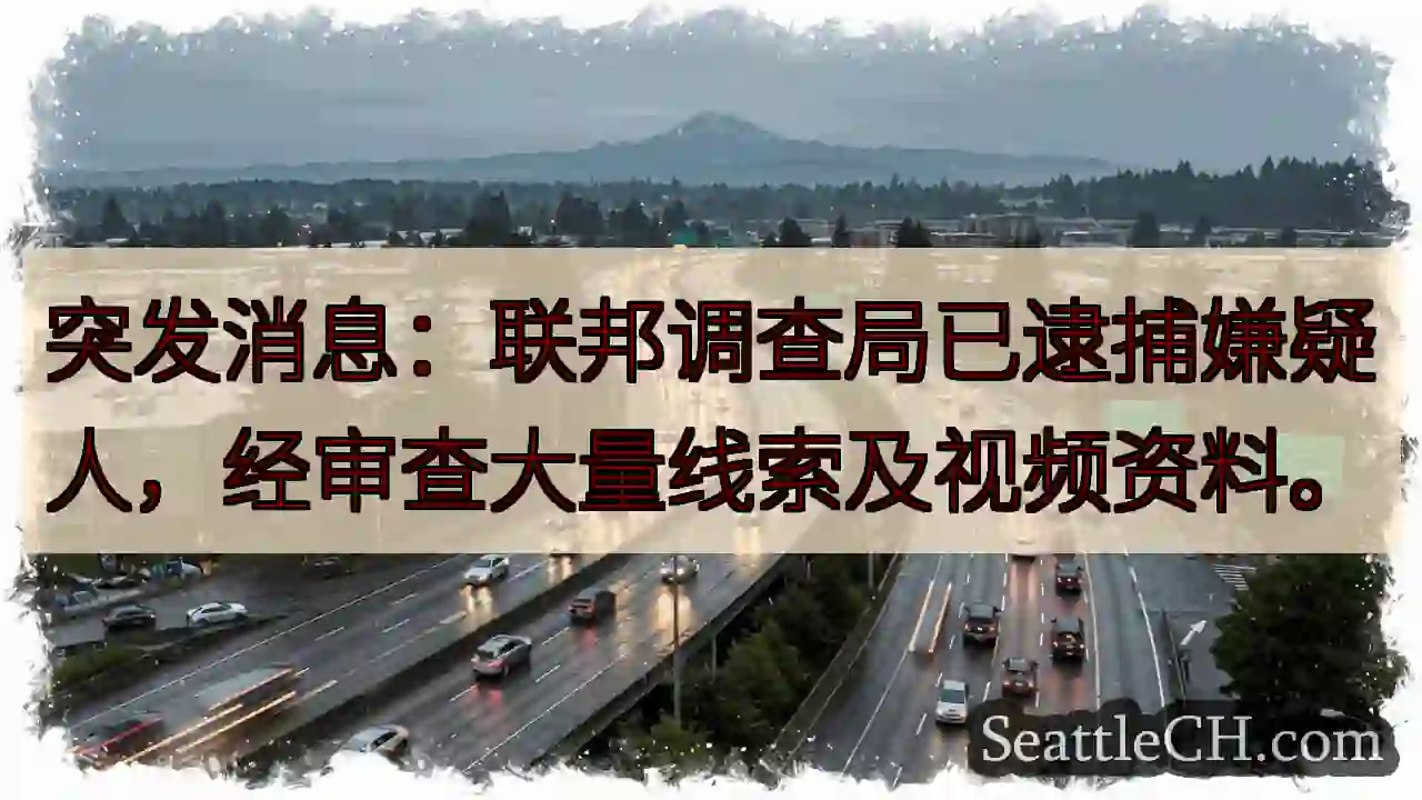 突发！嫌疑人已被逮捕