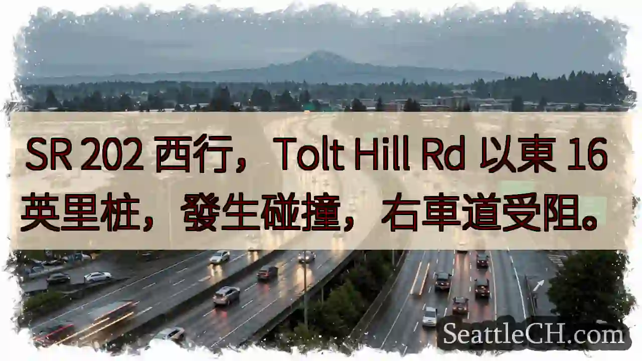 SR 202 西行，碰撞！右道受阻