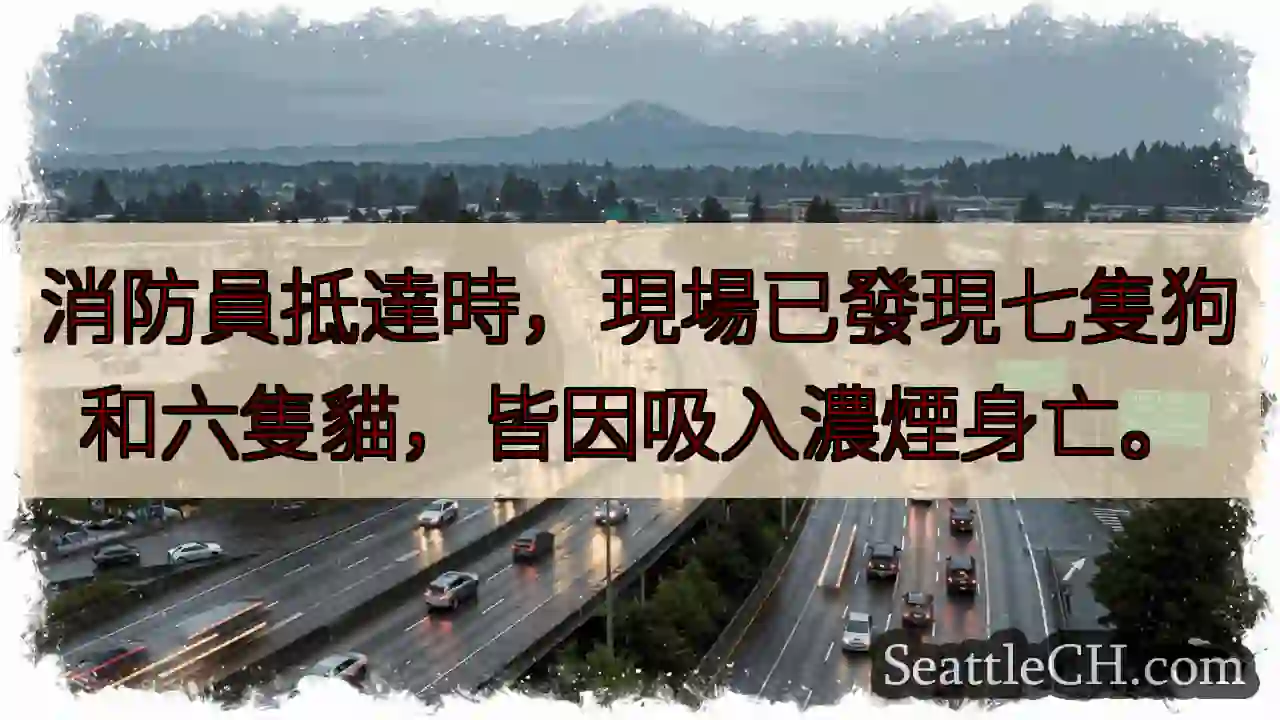 七犬六貓，濃煙窒息身亡