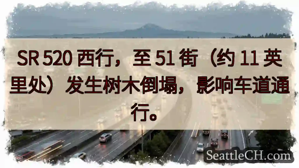 SR 520 西行:树木倒塌,影响通行!