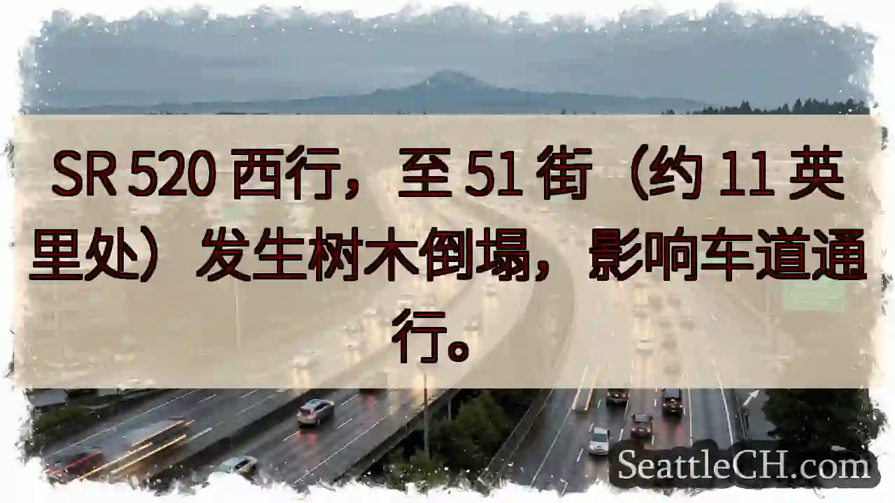 SR 520 西行：树木倒塌，影响通行！