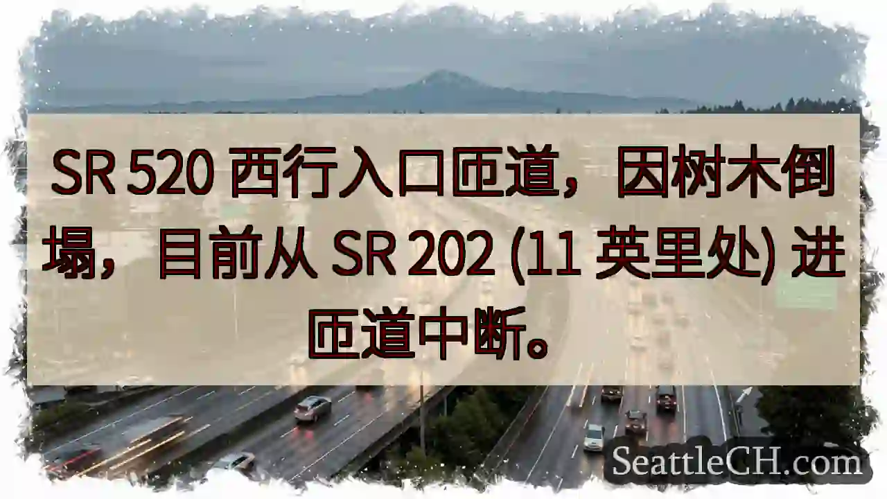 SR 520 西匝道中断！树木倒塌。