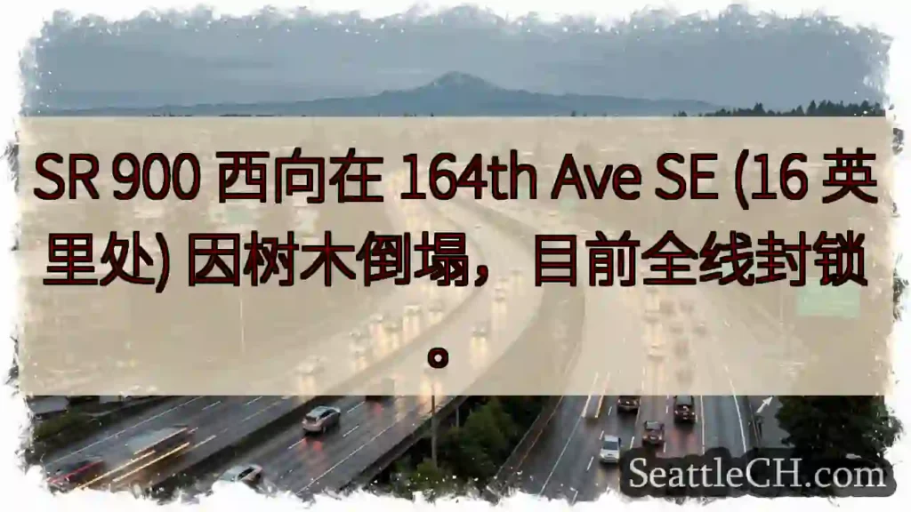 SR 900 西向封锁!树木倒塌