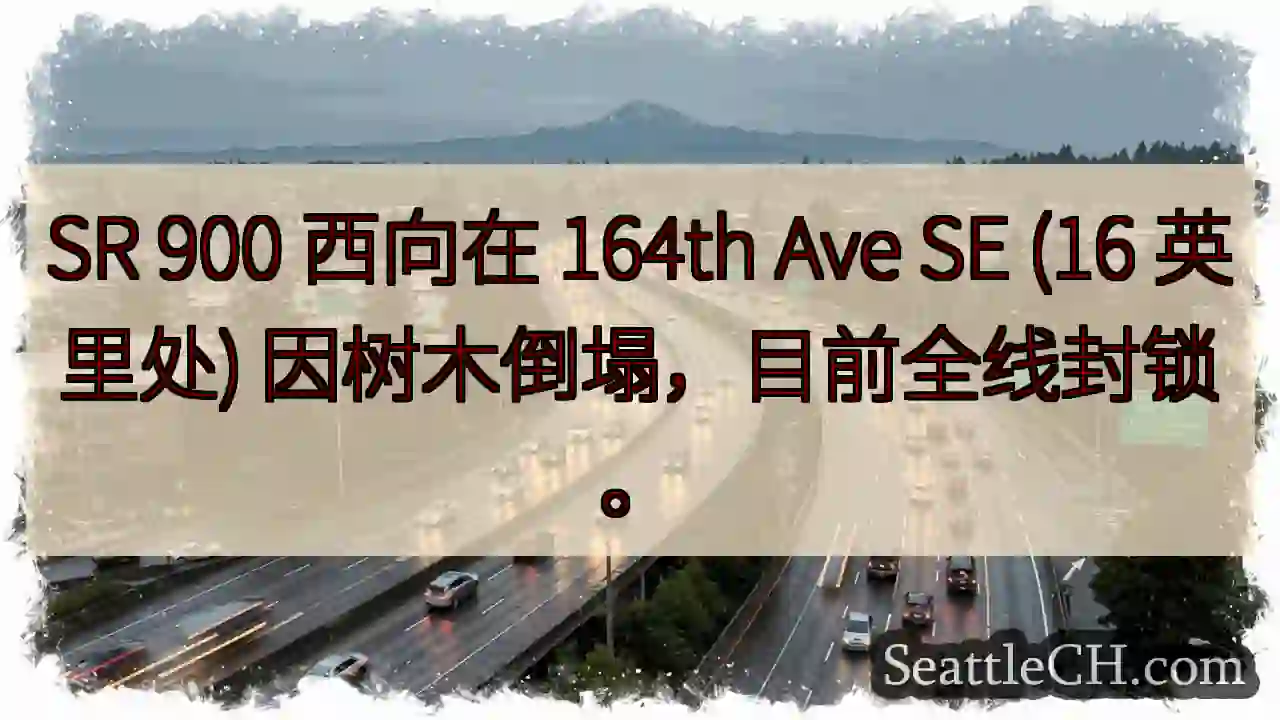SR 900 西向封锁！树木倒塌