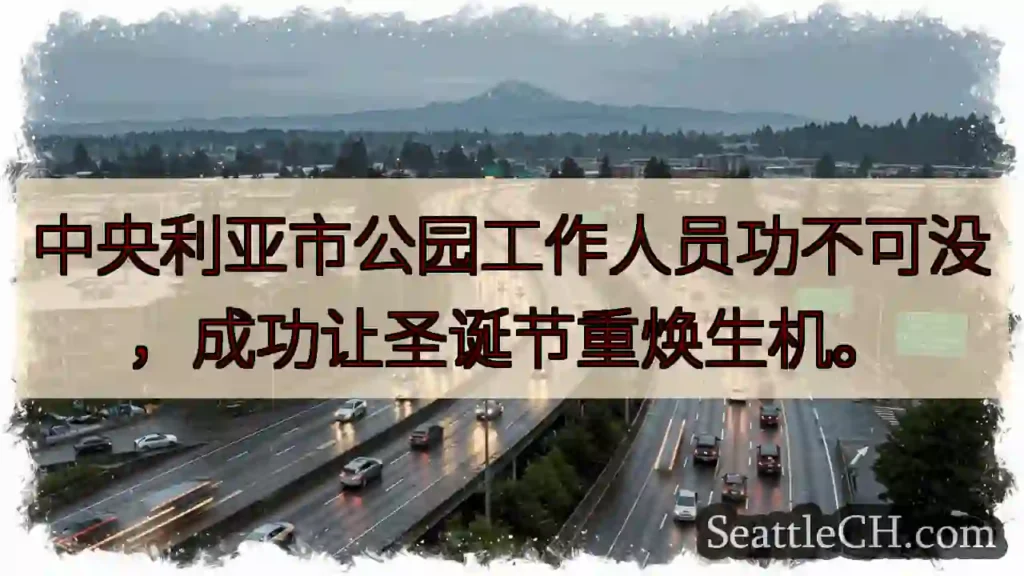 圣诞公园,重焕生机!