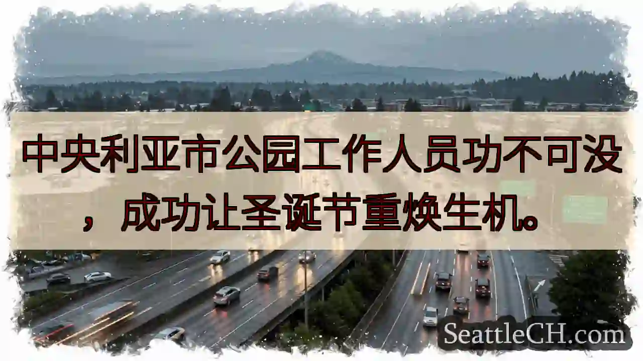 圣诞公园，重焕生机！