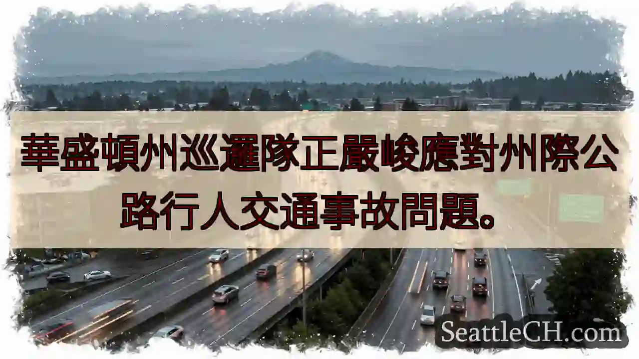 州際公路行人事故：嚴峻應對！