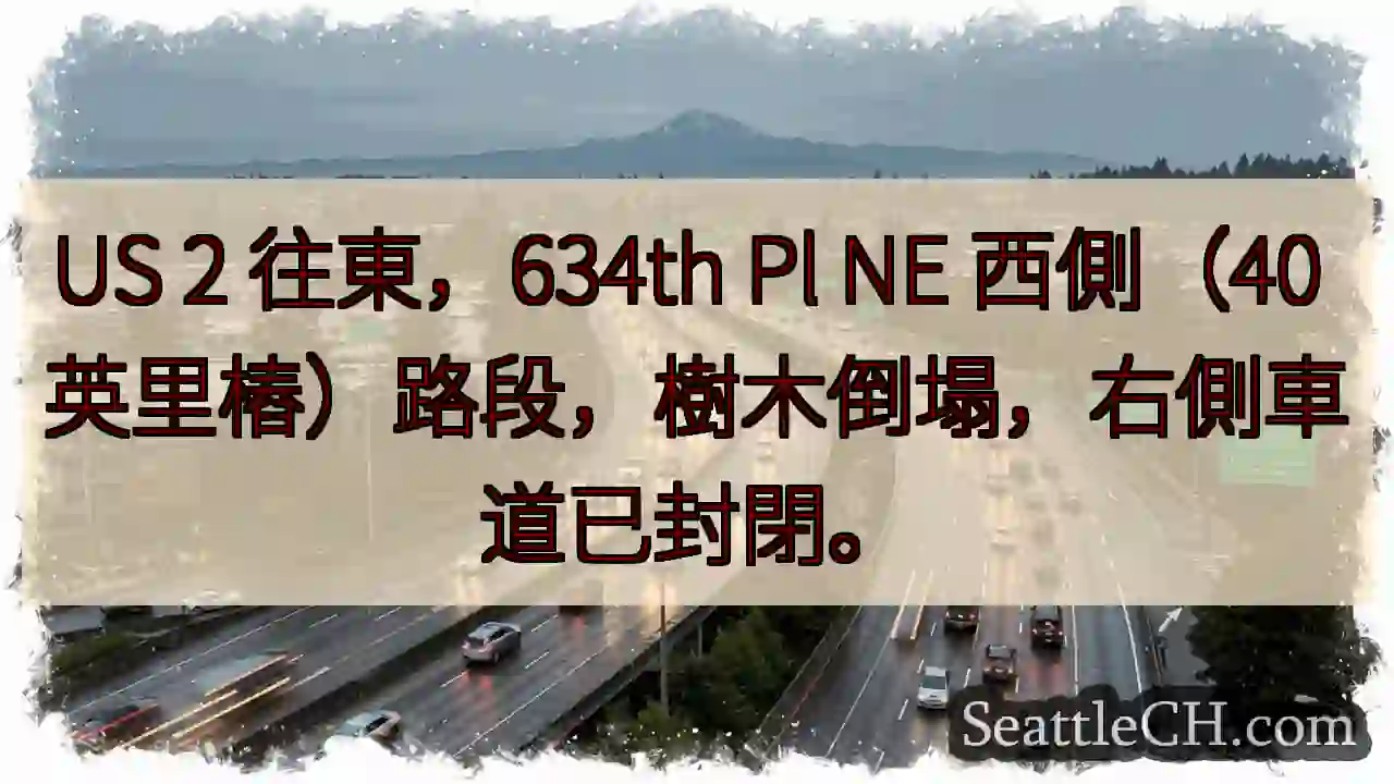 树木倒塌！右侧车道已封閉