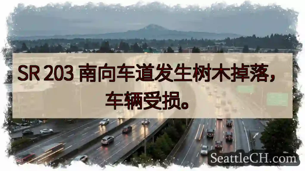 SR 203树木掉落！车辆受损