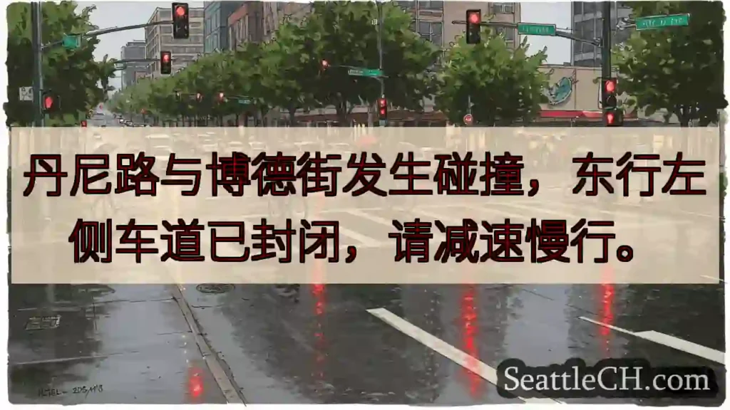 丹尼路事故！左侧车道封闭。
