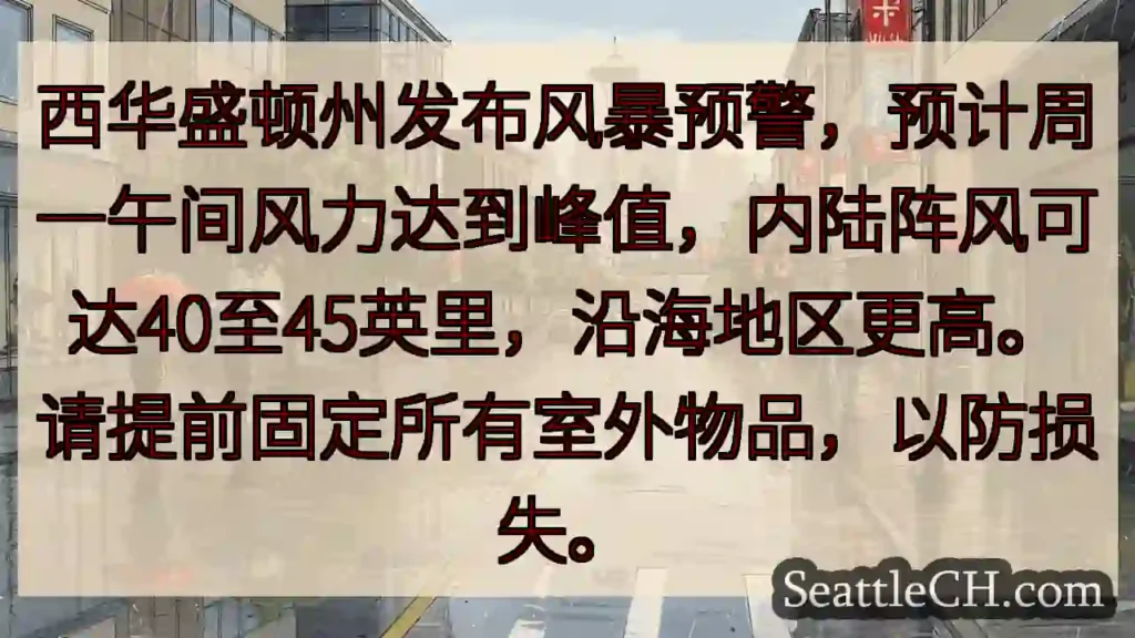 华盛顿州风暴预警！固定物品，谨防损失。