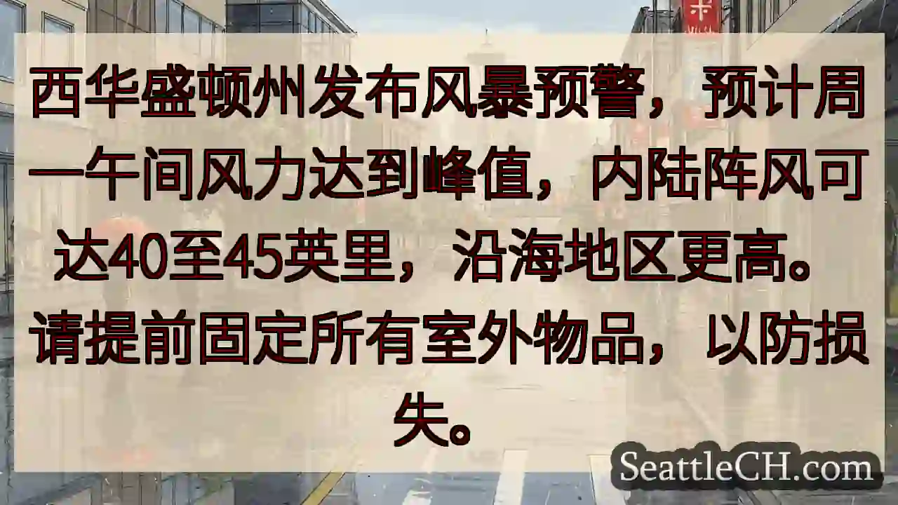华盛顿州风暴预警！固定物品，谨防损失。