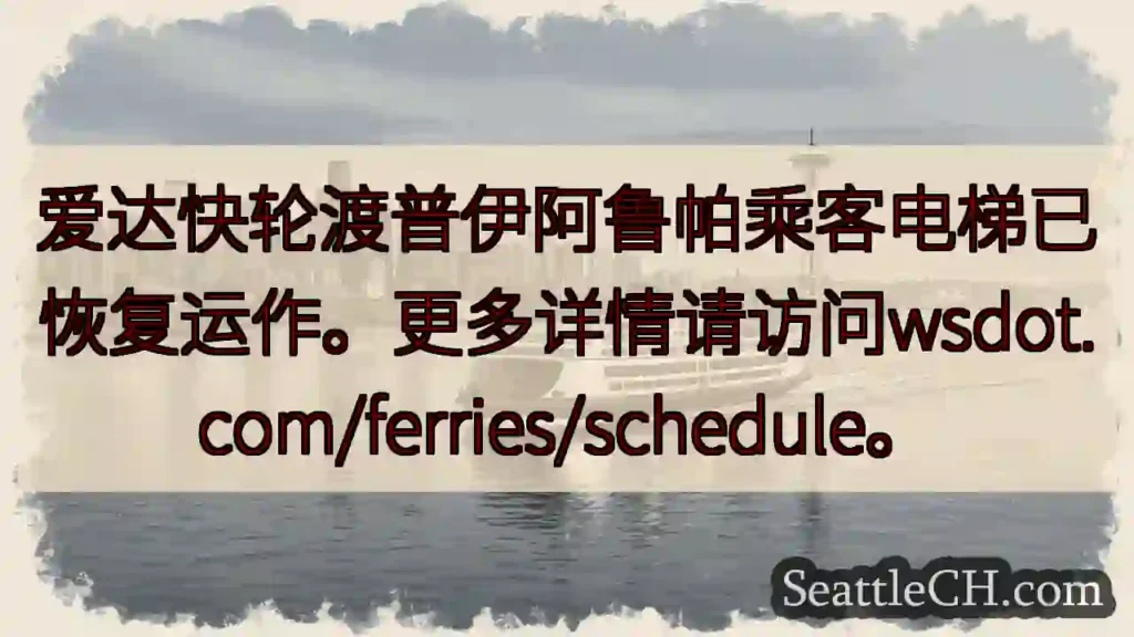 普伊阿鲁帕电梯已恢复！