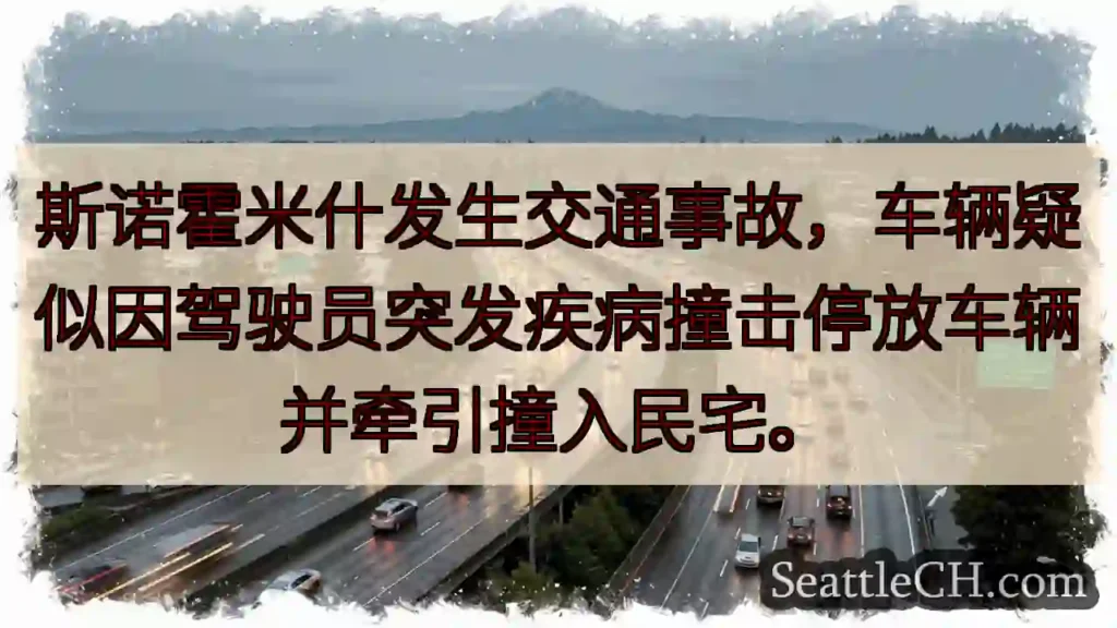 斯诺霍米什车祸！疑似突发疾病。