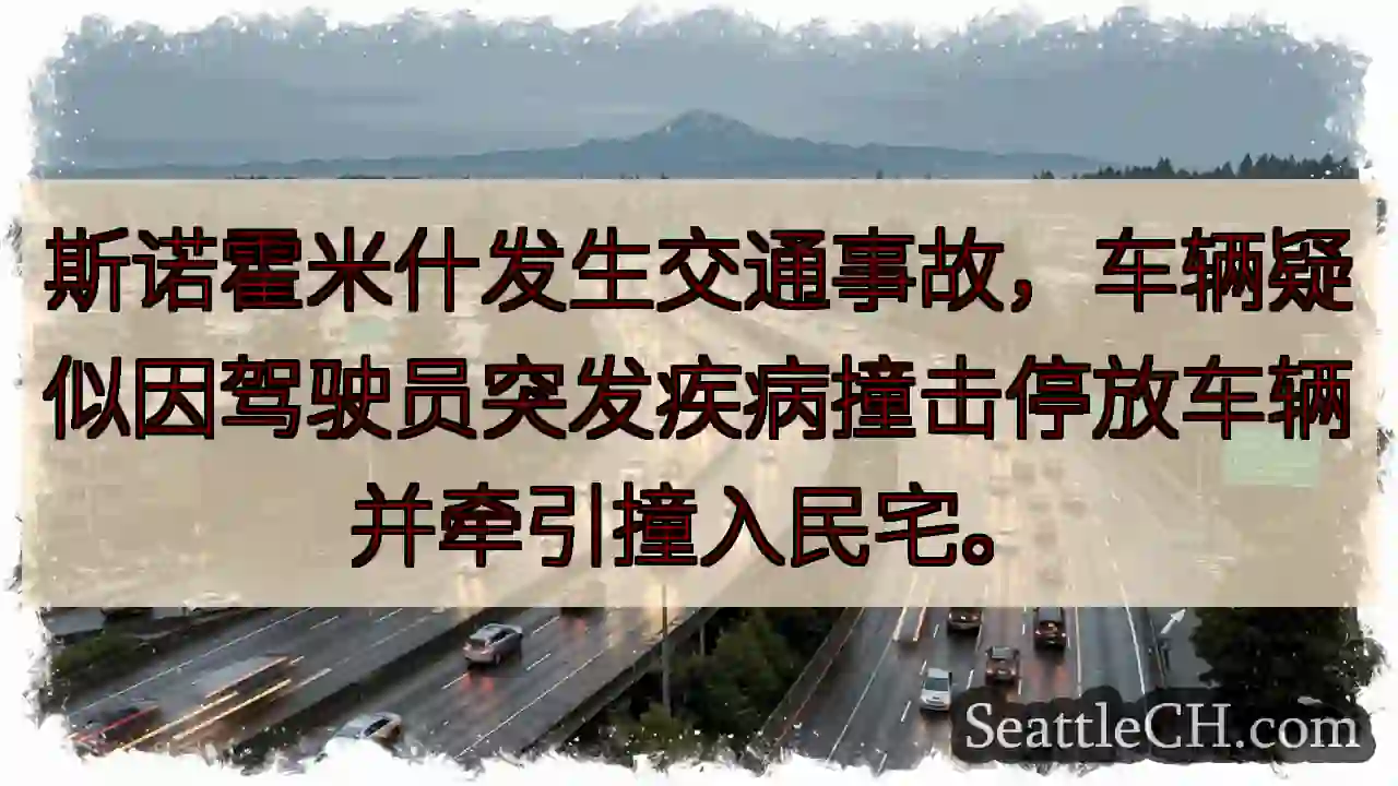斯诺霍米什车祸！疑似突发疾病。