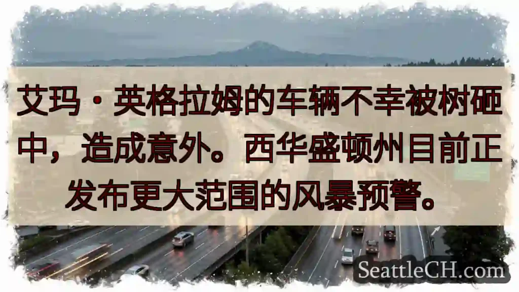 车辆受损！风暴预警发布