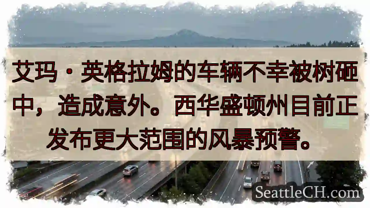 车辆受损！风暴预警发布
