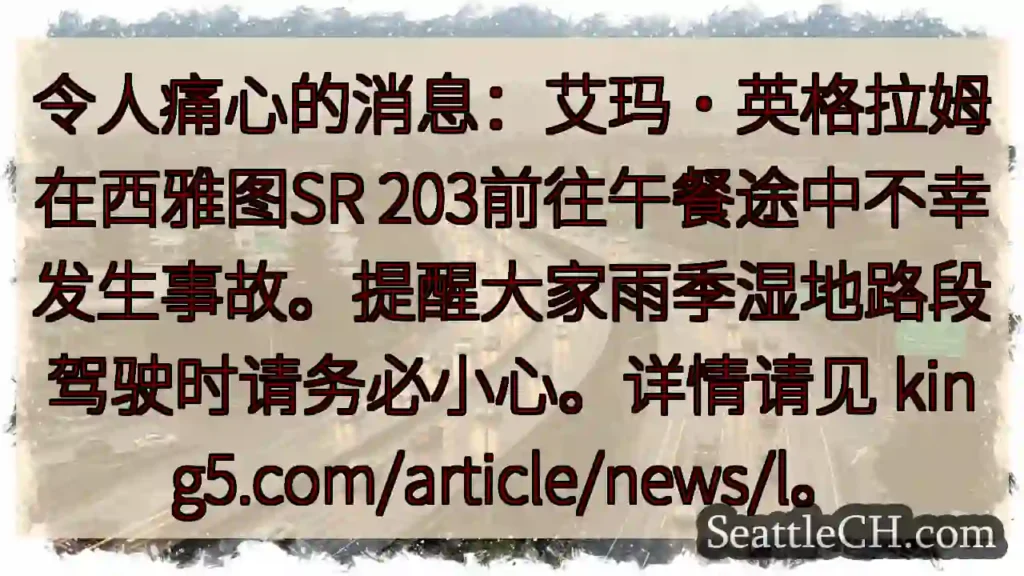 西雅图事故：请小心湿滑路面
