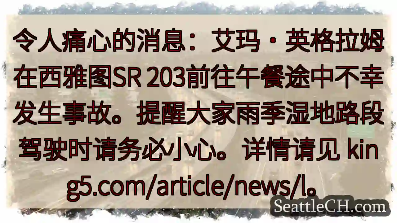 西雅图事故：请小心湿滑路面